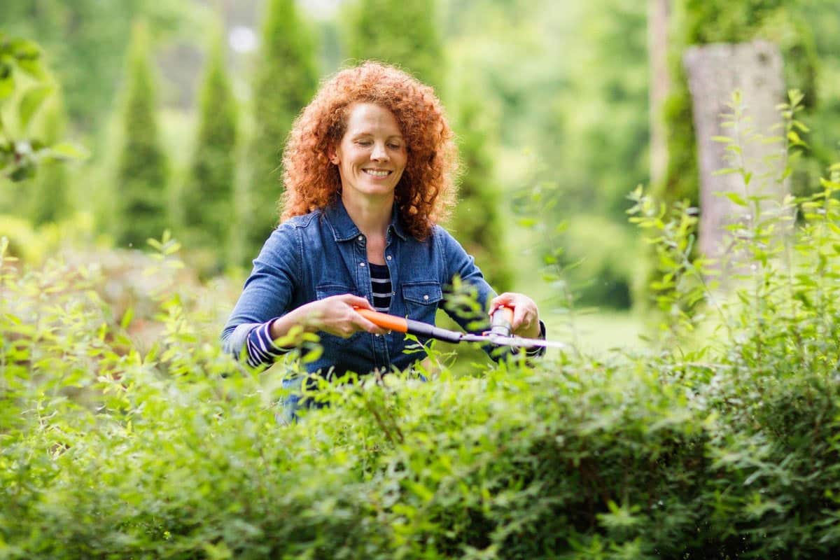 Fiskars en vente privée, Outillage de jardin FISKARS – Outils pour l’entretien et l’aménagement extérieur